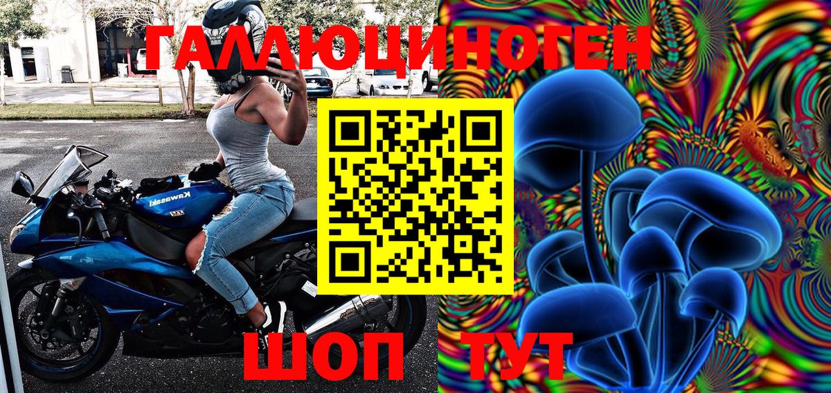 Торжок  Псилоцибиновые грибы мицелий  Вход с VPN 