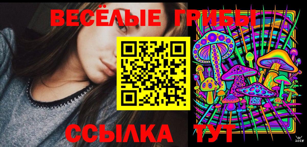 Псилоцибиновые грибы мицелий Торжок